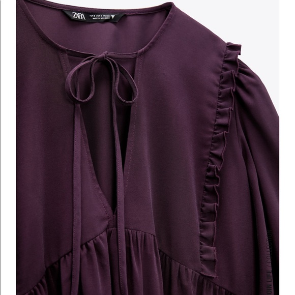 Zara Pleated Dress - Picture 9 of 10